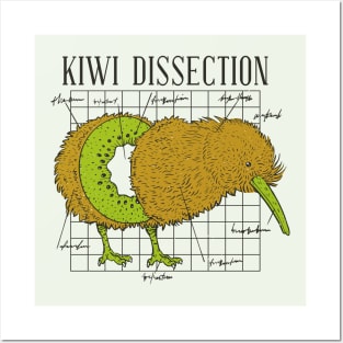 Funny Kiwi Bird Dissection // Funny Science Biology Humor Posters and Art